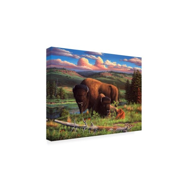 R W Hedge 'Buffalo Nation' Canvas Art,14x19